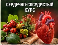 Растительная композиция для сердечно-сосудистого направления GreenMan